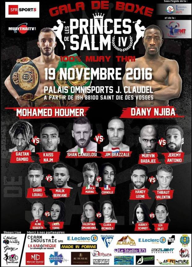 affiche-princes-de-salm-2016